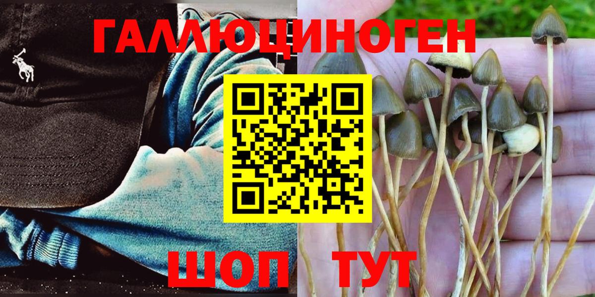 купить  цена  Вход с VPN  Дюртюли  Галлюциногенные грибы MAGIC MUSHROOMS 
